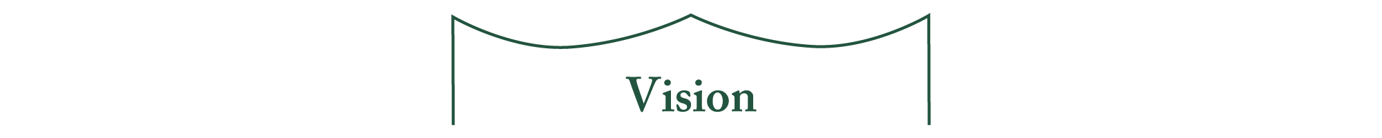 Vision