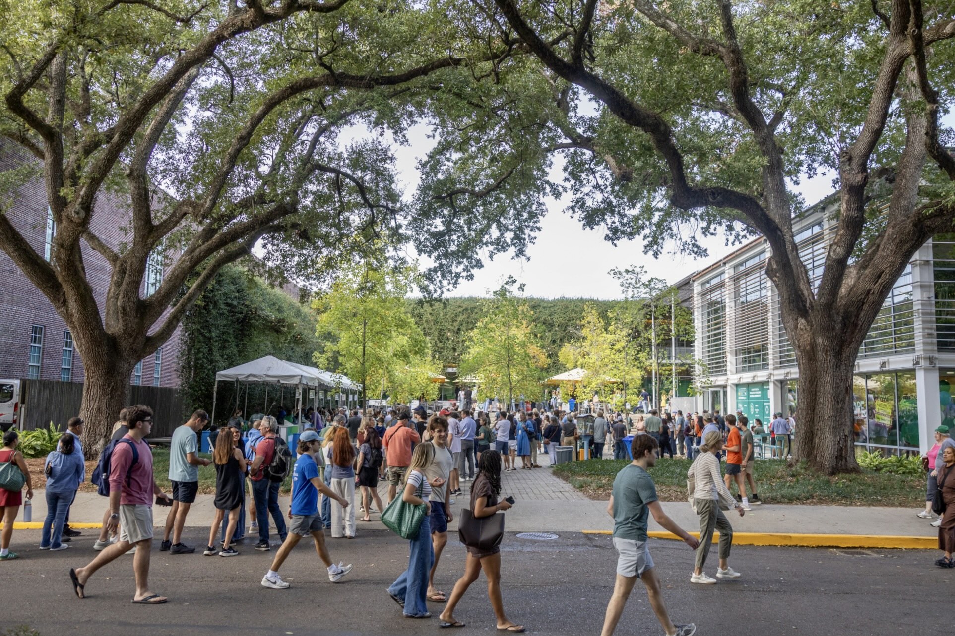 Lively campus scene with students walking under large oak trees by modern buildings.