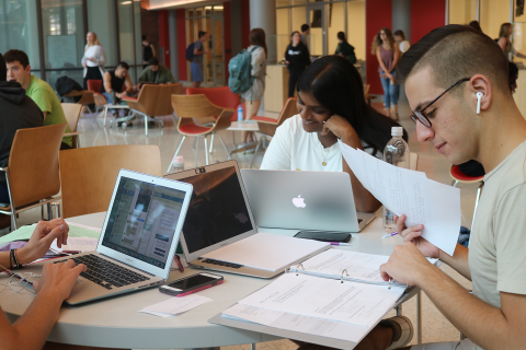 Students studying in Freeman
